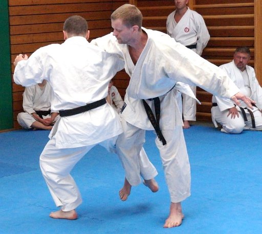 DSC03786 (Large).JPG